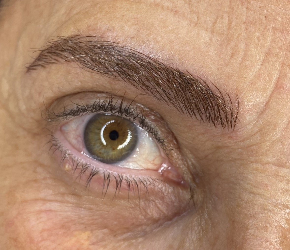 Sombreado de cejas powder brows en Terrassa